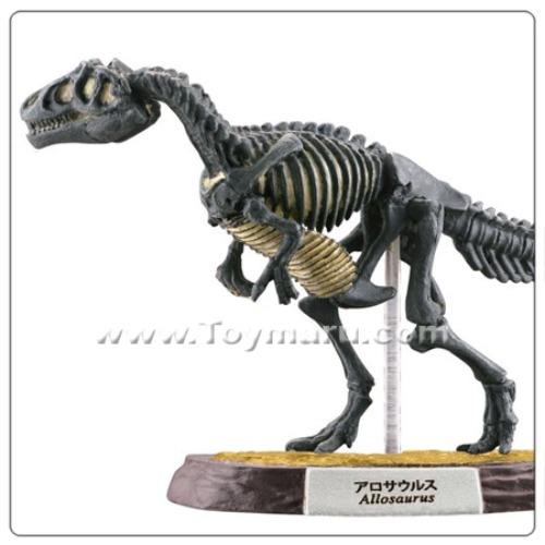 공룡 마스터 ( 태고의 기억 ) 화석칼라버전  5종세트